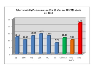 Informe adultojunio2013