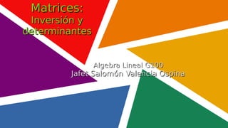 Algebra Lineal G100
Algebra Lineal G100
Jafet Salomón Valencia Ospina
Jafet Salomón Valencia Ospina
Matrices:
Matrices:
Inversión y
Inversión y
determinantes
determinantes
 