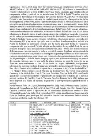 Informe Final ALP Bolivia 2019 | PDF