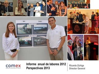 Informe anual de labores 2012   Ricardo Zúñiga
Perspectivas 2013               Director General
 