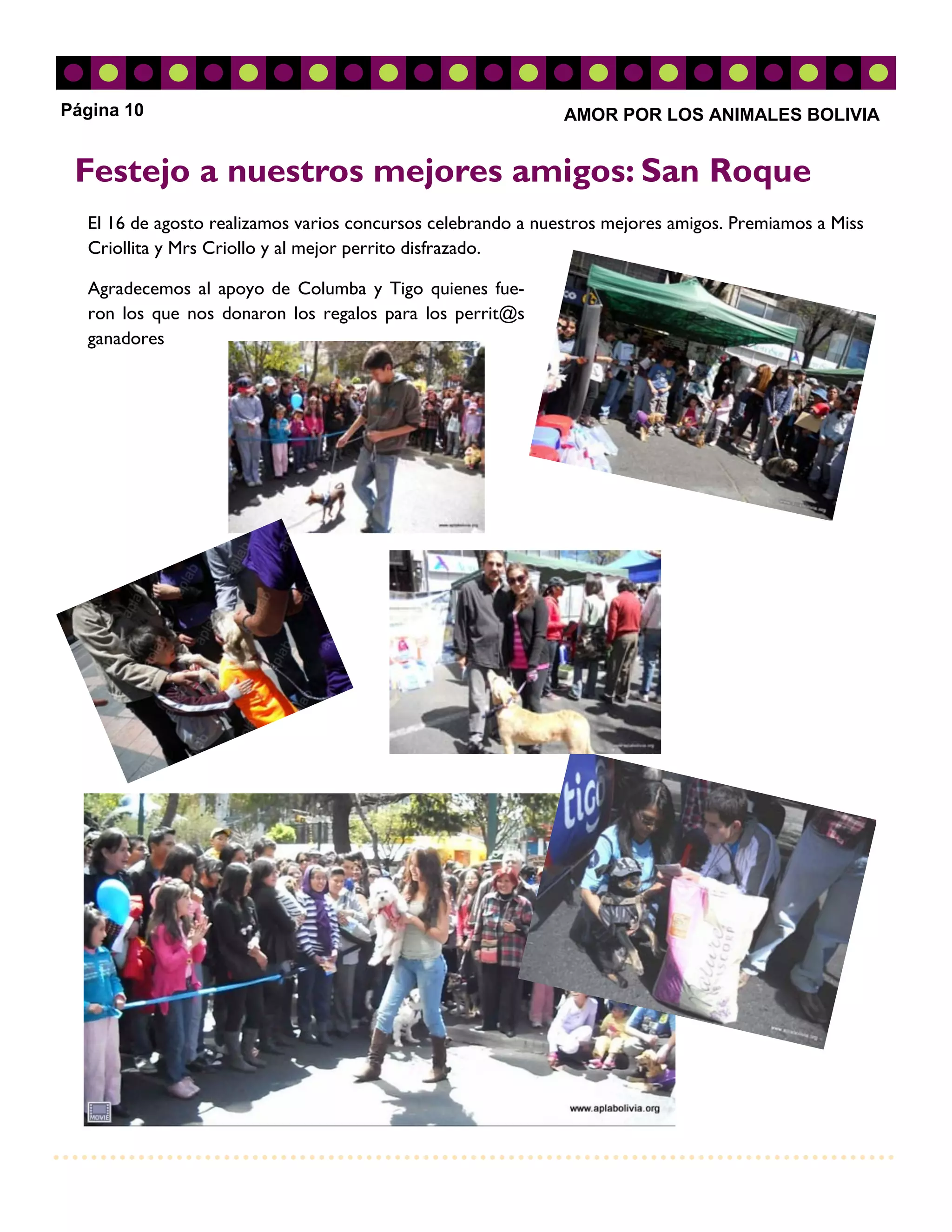 Página 10                                                     AMOR POR LOS ANIMALES BOLIVIA


 Festejo a nuestros mejores amigos: San Roque
  El 16 de agosto realizamos varios concursos celebrando a nuestros mejores amigos. Premiamos a Miss
  Criollita y Mrs Criollo y al mejor perrito disfrazado.

  Agradecemos al apoyo de Columba y Tigo quienes fue-
  ron los que nos donaron los regalos para los perrit@s
  ganadores
 