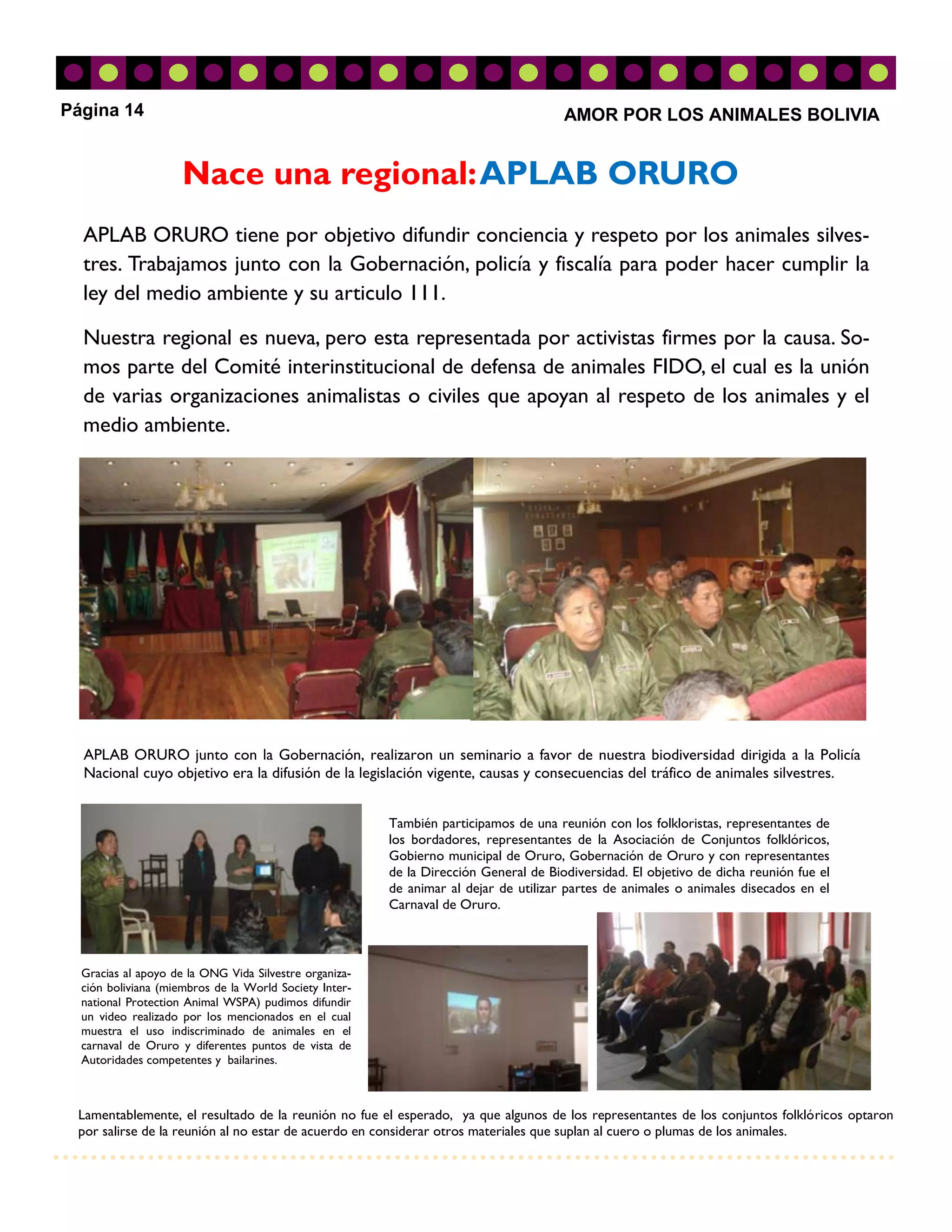 Página 14                                                                             AMOR POR LOS ANIMALES BOLIVIA


                     Nace una regional: APLAB ORURO
  APLAB ORURO tiene por objetivo difundir conciencia y respeto por los animales silves-
  tres. Trabajamos junto con la Gobernación, policía y fiscalía para poder hacer cumplir la
  ley del medio ambiente y su articulo 111.

  Nuestra regional es nueva, pero esta representada por activistas firmes por la causa. So-
  mos parte del Comité interinstitucional de defensa de animales FIDO, el cual es la unión
  de varias organizaciones animalistas o civiles que apoyan al respeto de los animales y el
  medio ambiente.




  APLAB ORURO junto con la Gobernación, realizaron un seminario a favor de nuestra biodiversidad dirigida a la Policía
  Nacional cuyo objetivo era la difusión de la legislación vigente, causas y consecuencias del tráfico de animales silvestres.


                                                        También participamos de una reunión con los folkloristas, representantes de
                                                        los bordadores, representantes de la Asociación de Conjuntos folklóricos,
                                                        Gobierno municipal de Oruro, Gobernación de Oruro y con representantes
                                                        de la Dirección General de Biodiversidad. El objetivo de dicha reunión fue el
                                                        de animar al dejar de utilizar partes de animales o animales disecados en el
                                                        Carnaval de Oruro.



  Gracias al apoyo de la ONG Vida Silvestre organiza-
  ción boliviana (miembros de la World Society Inter-
  national Protection Animal WSPA) pudimos difundir
  un video realizado por los mencionados en el cual
  muestra el uso indiscriminado de animales en el
  carnaval de Oruro y diferentes puntos de vista de
  Autoridades competentes y bailarines.



 Lamentablemente, el resultado de la reunión no fue el esperado, ya que algunos de los representantes de los conjuntos folklóricos optaron
 por salirse de la reunión al no estar de acuerdo en considerar otros materiales que suplan al cuero o plumas de los animales.
 