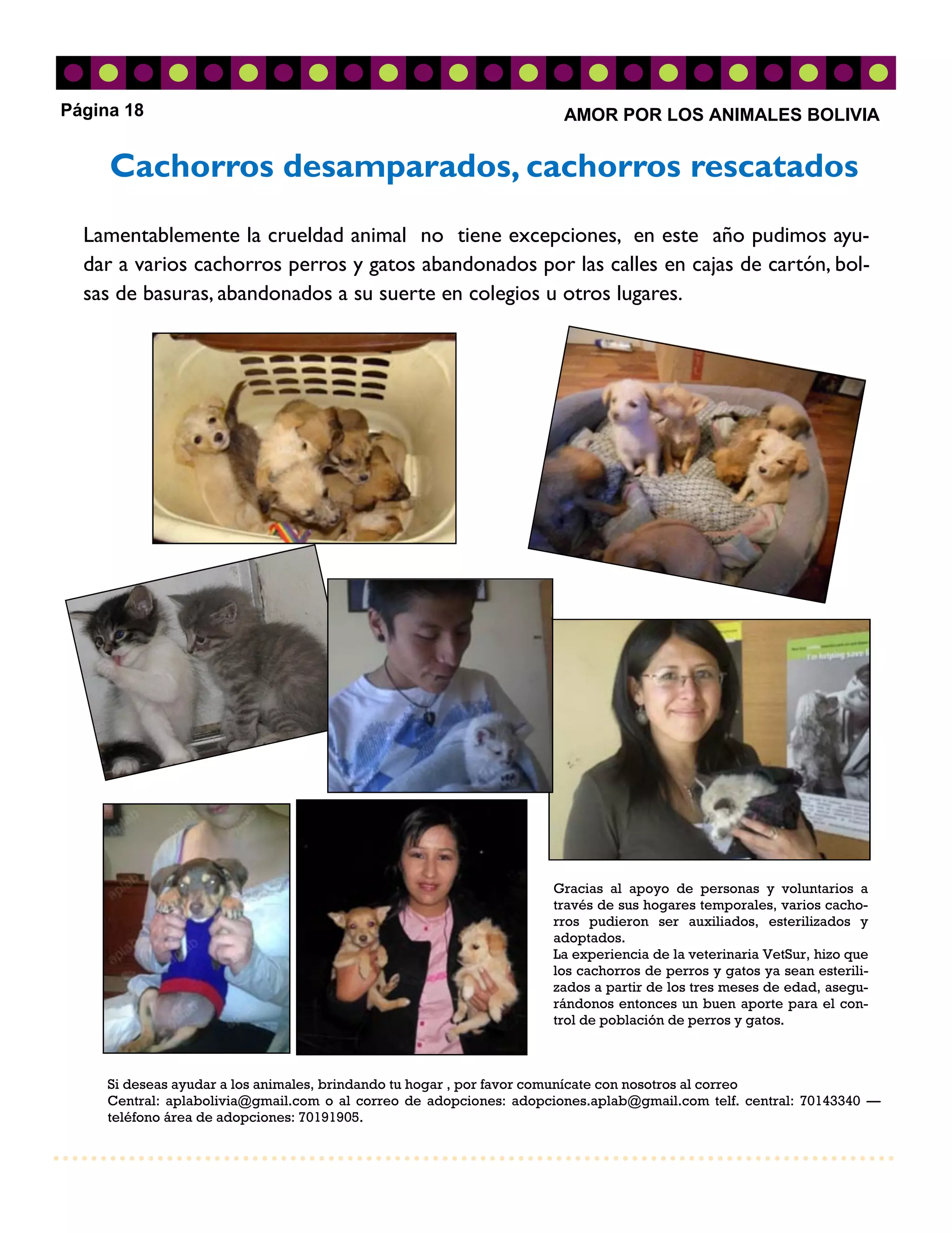 Página 18                                                            AMOR POR LOS ANIMALES BOLIVIA


     Cachorros desamparados, cachorros rescatados
  Lamentablemente la crueldad animal no tiene excepciones, en este año pudimos ayu-
  dar a varios cachorros perros y gatos abandonados por las calles en cajas de cartón, bol-
  sas de basuras, abandonados a su suerte en colegios u otros lugares.




                                                                    Gracias al apoyo de personas y voluntarios a
                                                                    través de sus hogares temporales, varios cacho-
                                                                    rros pudieron ser auxiliados, esterilizados y
                                                                    adoptados.
                                                                    La experiencia de la veterinaria VetSur, hizo que
                                                                    los cachorros de perros y gatos ya sean esterili-
                                                                    zados a partir de los tres meses de edad, asegu-
                                                                    rándonos entonces un buen aporte para el con-
                                                                    trol de población de perros y gatos.



     Si deseas ayudar a los animales, brindando tu hogar , por favor comunícate con nosotros al correo
     Central: aplabolivia@gmail.com o al correo de adopciones: adopciones.aplab@gmail.com telf. central: 70143340 —
     teléfono área de adopciones: 70191905.
 