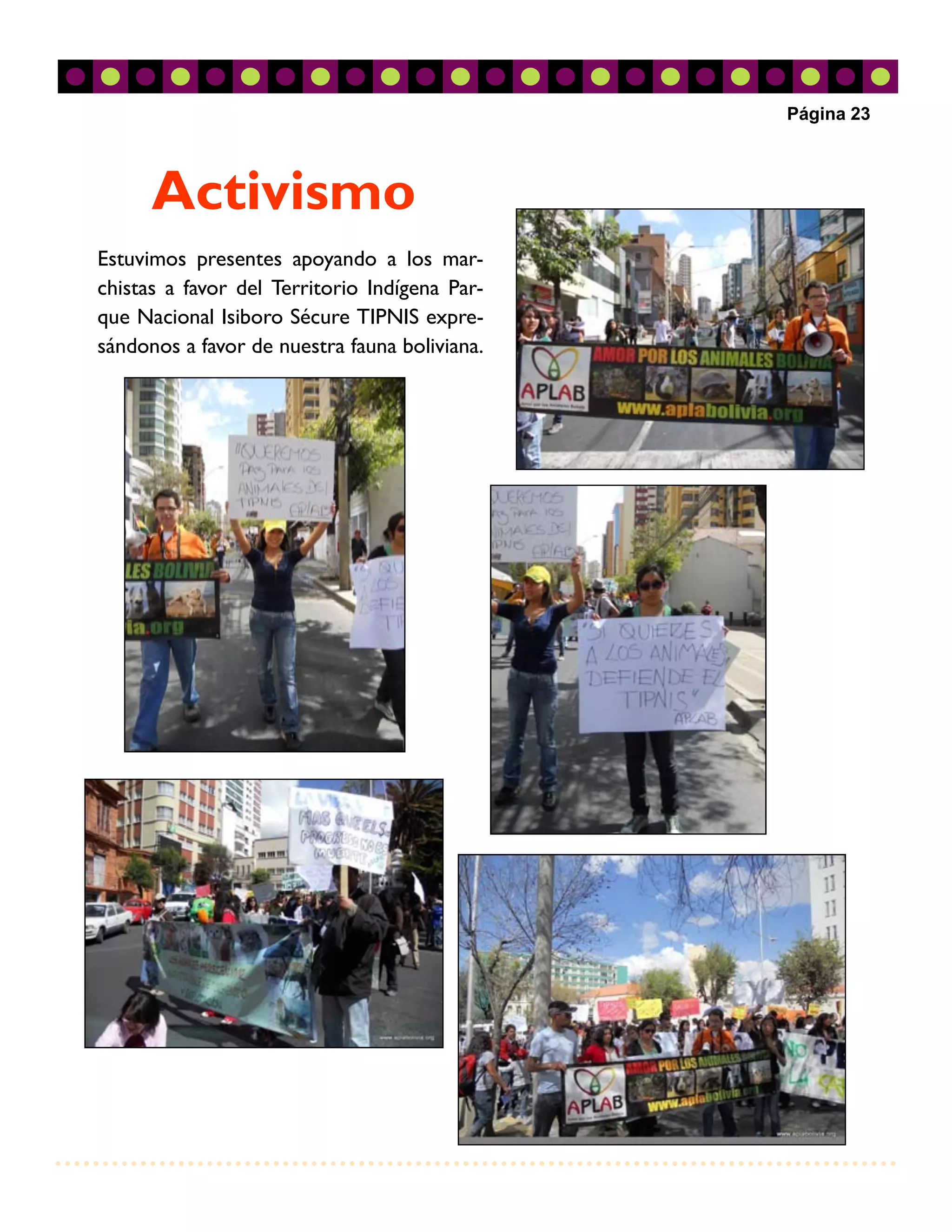 Página 23



      Activismo
Estuvimos presentes apoyando a los mar-
chistas a favor del Territorio Indígena Par-
que Nacional Isiboro Sécure TIPNIS expre-
sándonos a favor de nuestra fauna boliviana.
 
