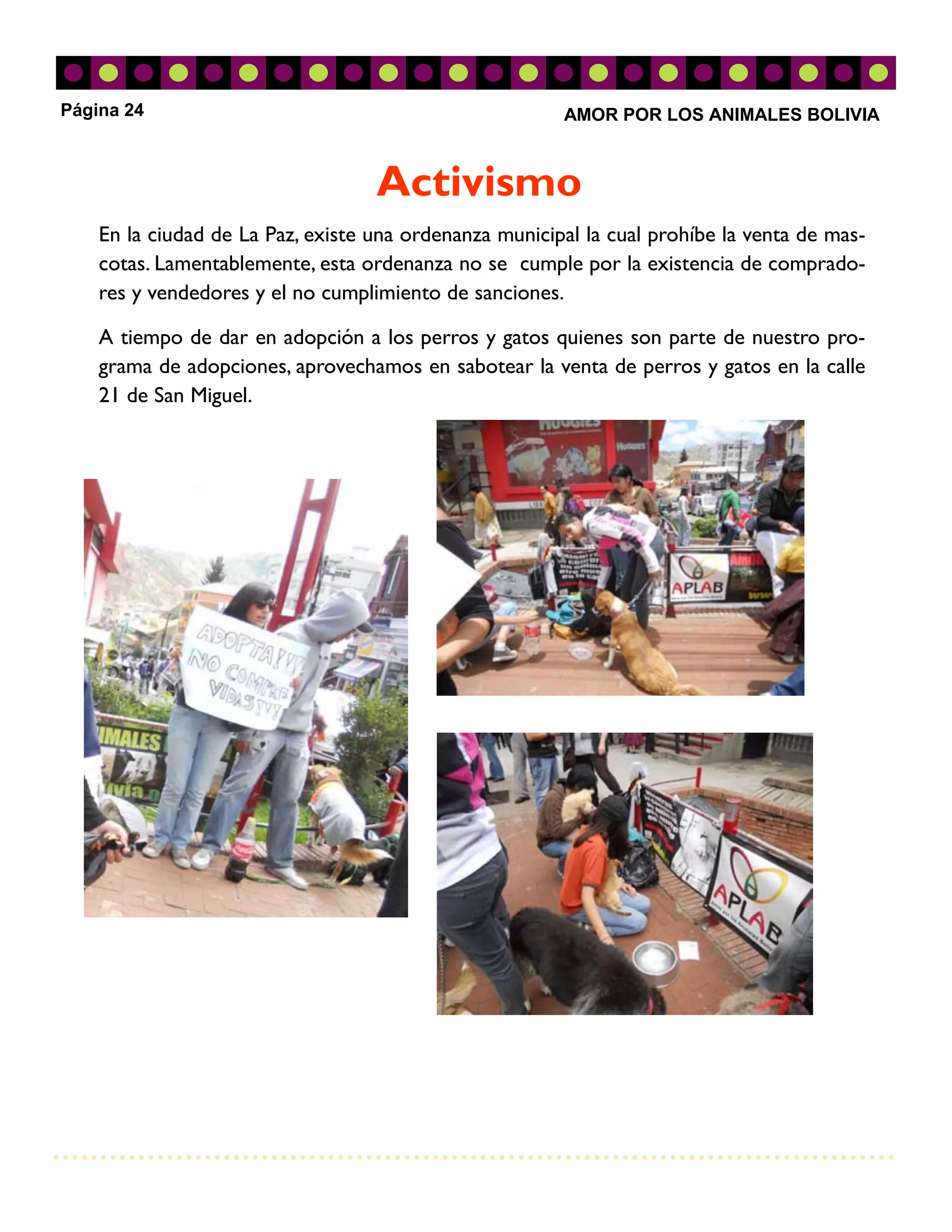 Página 24                                               AMOR POR LOS ANIMALES BOLIVIA



                                   Activismo
    En la ciudad de La Paz, existe una ordenanza municipal la cual prohíbe la venta de mas-
    cotas. Lamentablemente, esta ordenanza no se cumple por la existencia de comprado-
    res y vendedores y el no cumplimiento de sanciones.

    A tiempo de dar en adopción a los perros y gatos quienes son parte de nuestro pro-
    grama de adopciones, aprovechamos en sabotear la venta de perros y gatos en la calle
    21 de San Miguel.
 