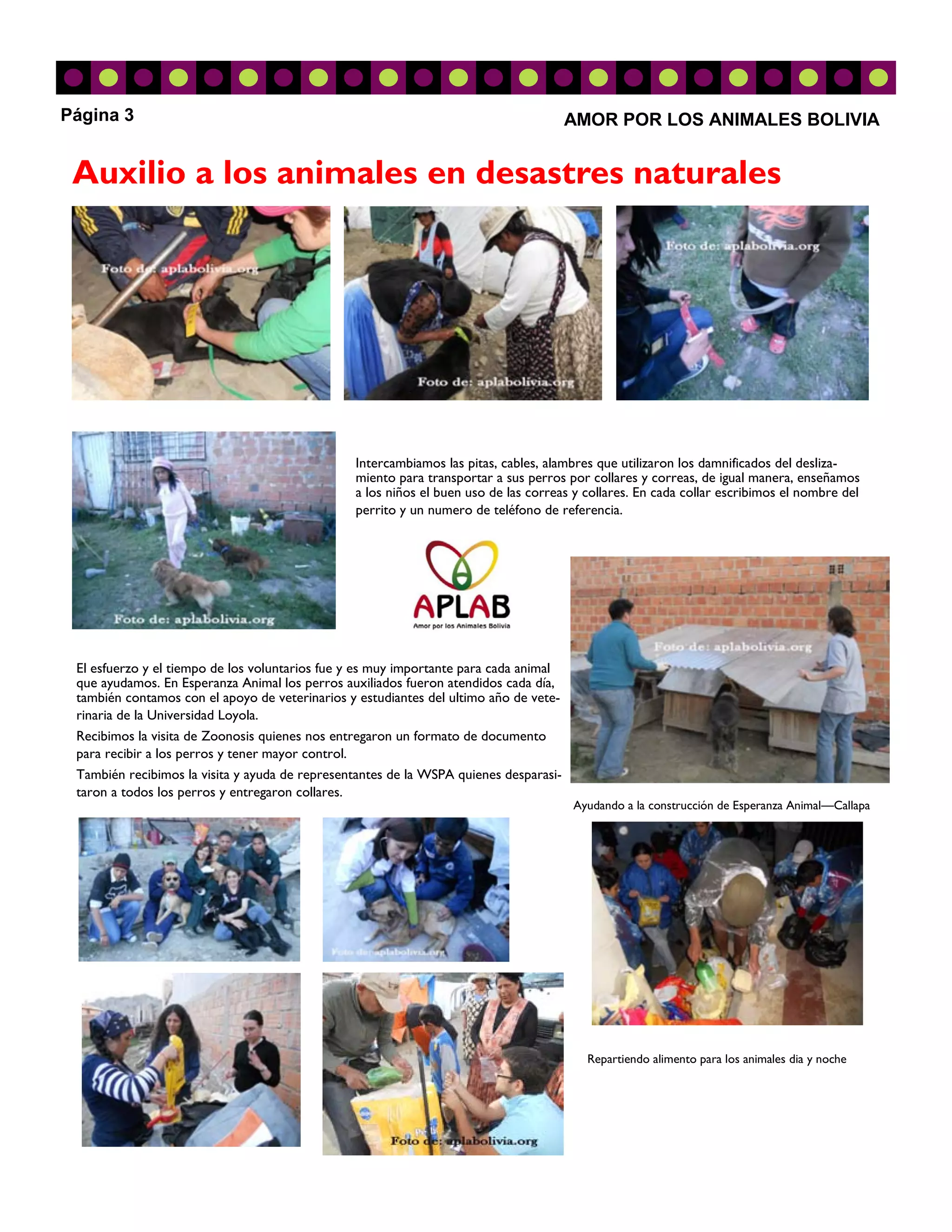 Página 3                                                                               AMOR POR LOS ANIMALES BOLIVIA


 Auxilio a los animales en desastres naturales




                                                Intercambiamos las pitas, cables, alambres que utilizaron los damnificados del desliza-
                                                miento para transportar a sus perros por collares y correas, de igual manera, enseñamos
                                                a los niños el buen uso de las correas y collares. En cada collar escribimos el nombre del
                                                perrito y un numero de teléfono de referencia.




 El esfuerzo y el tiempo de los voluntarios fue y es muy importante para cada animal
 que ayudamos. En Esperanza Animal los perros auxiliados fueron atendidos cada día,
 también contamos con el apoyo de veterinarios y estudiantes del ultimo año de vete-
 rinaria de la Universidad Loyola.
 Recibimos la visita de Zoonosis quienes nos entregaron un formato de documento
 para recibir a los perros y tener mayor control.
 También recibimos la visita y ayuda de representantes de la WSPA quienes desparasi-
 taron a todos los perros y entregaron collares.
                                                                                       Ayudando a la construcción de Esperanza Animal—Callapa




                                                                                         Repartiendo alimento para los animales dia y noche
 