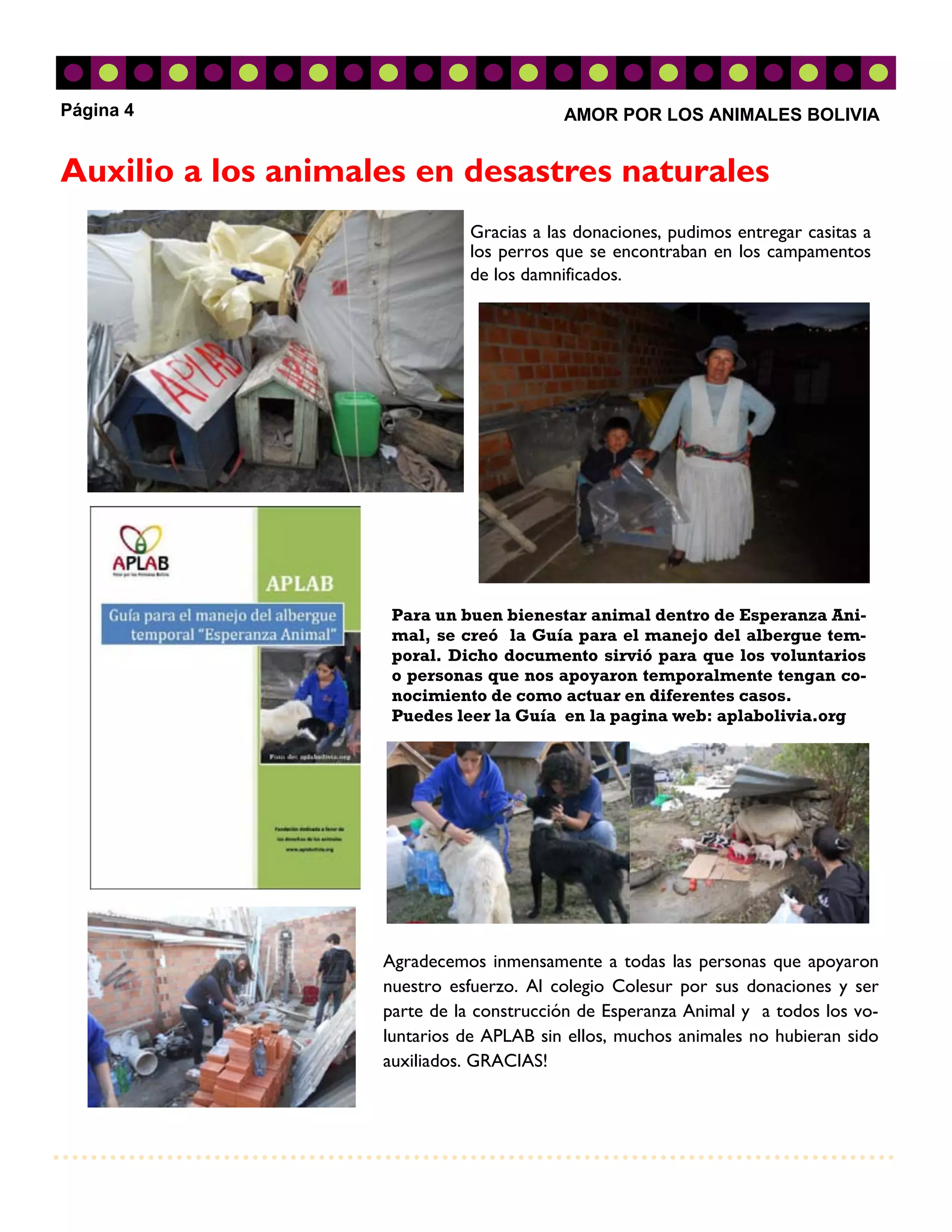 Página 4                                  AMOR POR LOS ANIMALES BOLIVIA


Auxilio a los animales en desastres naturales
                              Gracias a las donaciones, pudimos entregar casitas a
                              los perros que se encontraban en los campamentos
                              de los damnificados.




                     Para un buen bienestar animal dentro de Esperanza Ani-
                     mal, se creó la Guía para el manejo del albergue tem-
                     poral. Dicho documento sirvió para que los voluntarios
                     o personas que nos apoyaron temporalmente tengan co-
                     nocimiento de como actuar en diferentes casos.
                     Puedes leer la Guía en la pagina web: aplabolivia.org




                    Agradecemos inmensamente a todas las personas que apoyaron
                    nuestro esfuerzo. Al colegio Colesur por sus donaciones y ser
                    parte de la construcción de Esperanza Animal y a todos los vo-
                    luntarios de APLAB sin ellos, muchos animales no hubieran sido
                    auxiliados. GRACIAS!
 