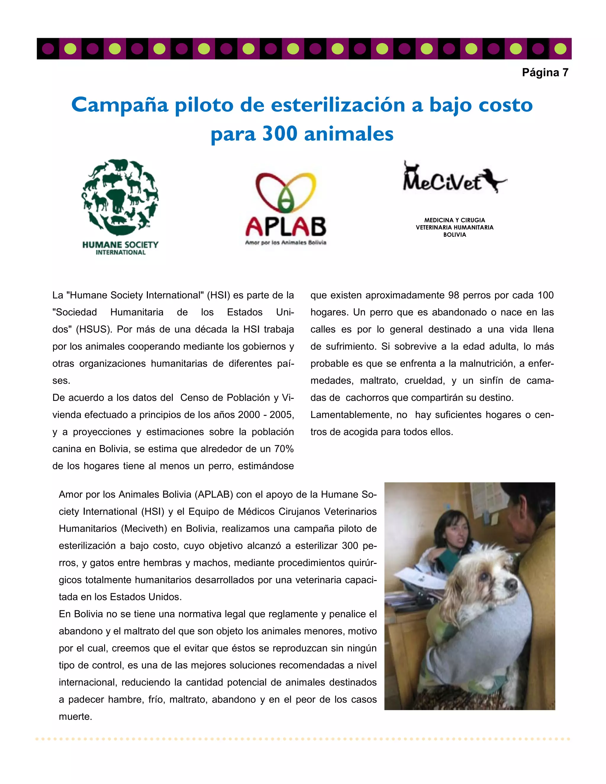 Página 7


       Campaña piloto de esterilización a bajo costo
                   para 300 animales


                                                                                    MEDICINA Y CIRUGIA
                                                                                 VETERINARIA HUMANITARIA
                                                                                         BOLIVIA




La "Humane Society International" (HSI) es parte de la   que existen aproximadamente 98 perros por cada 100
"Sociedad   Humanitaria    de    los   Estados    Uni-   hogares. Un perro que es abandonado o nace en las
dos" (HSUS). Por más de una década la HSI trabaja        calles es por lo general destinado a una vida llena
por los animales cooperando mediante los gobiernos y     de sufrimiento. Si sobrevive a la edad adulta, lo más
otras organizaciones humanitarias de diferentes paí-     probable es que se enfrenta a la malnutrición, a enfer-
ses.                                                     medades, maltrato, crueldad, y un sinfín de cama-
De acuerdo a los datos del Censo de Población y Vi-      das de cachorros que compartirán su destino.
vienda efectuado a principios de los años 2000 - 2005,   Lamentablemente, no hay suficientes hogares o cen-
y a proyecciones y estimaciones sobre la población       tros de acogida para todos ellos.
canina en Bolivia, se estima que alrededor de un 70%
de los hogares tiene al menos un perro, estimándose

 Amor por los Animales Bolivia (APLAB) con el apoyo de la Humane So-
 ciety International (HSI) y el Equipo de Médicos Cirujanos Veterinarios
 Humanitarios (Meciveth) en Bolivia, realizamos una campaña piloto de
 esterilización a bajo costo, cuyo objetivo alcanzó a esterilizar 300 pe-
 rros, y gatos entre hembras y machos, mediante procedimientos quirúr-
 gicos totalmente humanitarios desarrollados por una veterinaria capaci-
 tada en los Estados Unidos.
 En Bolivia no se tiene una normativa legal que reglamente y penalice el
 abandono y el maltrato del que son objeto los animales menores, motivo
 por el cual, creemos que el evitar que éstos se reproduzcan sin ningún
 tipo de control, es una de las mejores soluciones recomendadas a nivel
 internacional, reduciendo la cantidad potencial de animales destinados
 a padecer hambre, frío, maltrato, abandono y en el peor de los casos
 muerte.
 