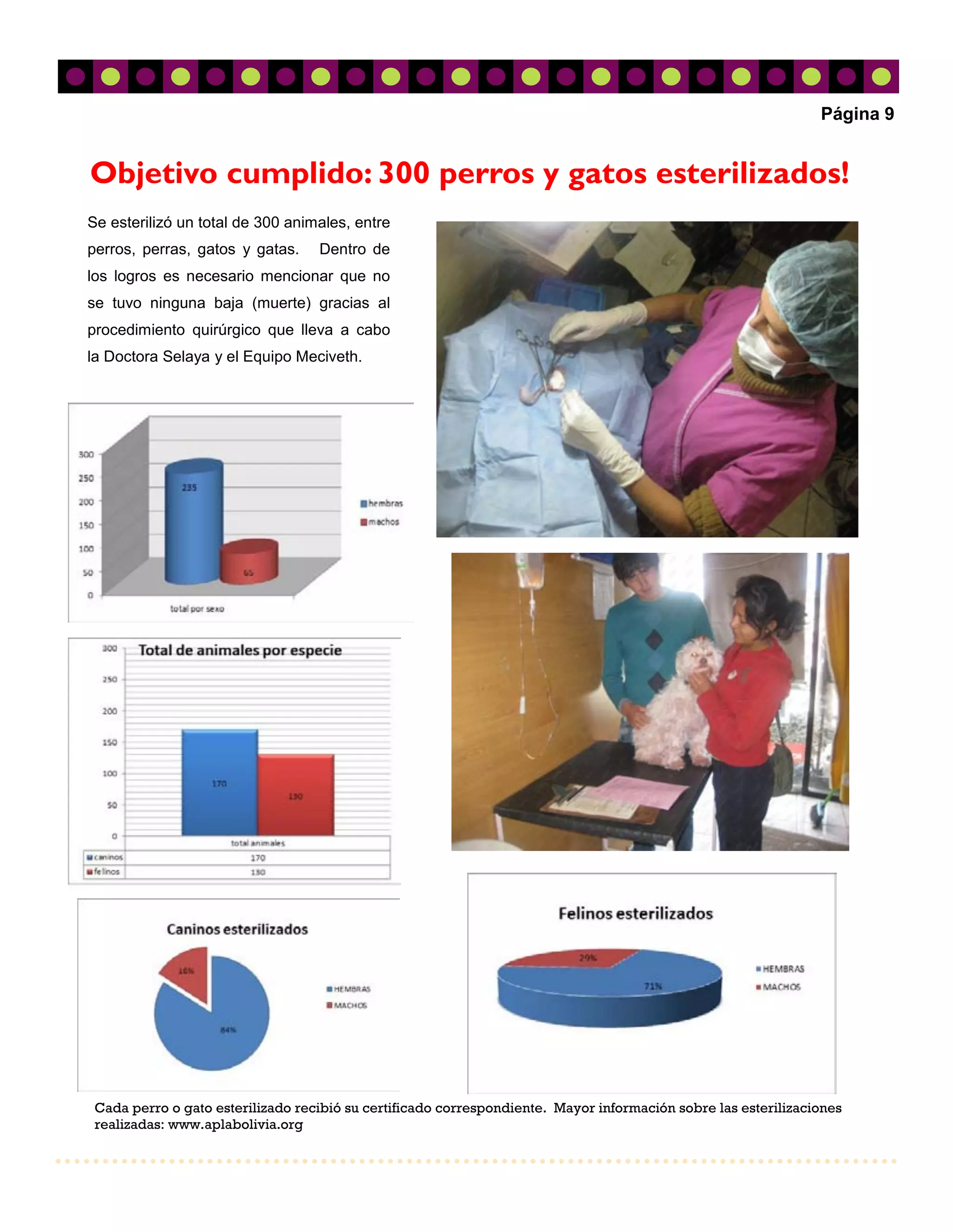 Página 9


Objetivo cumplido: 300 perros y gatos esterilizados!
Se esterilizó un total de 300 animales, entre
perros, perras, gatos y gatas.     Dentro de
los logros es necesario mencionar que no
se tuvo ninguna baja (muerte) gracias al
procedimiento quirúrgico que lleva a cabo
la Doctora Selaya y el Equipo Meciveth.




 Cada perro o gato esterilizado recibió su certificado correspondiente. Mayor información sobre las esterilizaciones
 realizadas: www.aplabolivia.org
 
