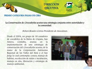 DIRECCIÓN
                                        EJECUTIVA

PREMIO CATEGORIA PALMA DE CERA


 La Conservación de Crocodrylus acutus una estrategia conjunta entre autoridades y
                                 la comunidad.

                  Nelson Rosales Correa Presidente de Asocaiman.

  Desde el 2004, un grupo de 18 cazadores
  de cocodrilos de la Bahía de Cispata, San
  Antero,     Córdoba,     avanza    en    la
  implementación de una estrategia de
  conservación del Crocodrylus acutus, de la
  mano de la Corporación Autónoma
  Regional de los Valles del Sinú y el San
  Jorge lo cual contempla: censos, manejo de
  hábitat, recolección de nidos e incubación,
  manejo ex situ, liberación y estrategia de
  manejo ambiental.
 