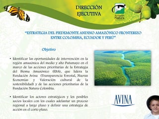 DIRECCIÓN
                                             EJECUTIVA


          “ESTRATEGIA DEL PIEDEMONTE ANDINO AMAZÓNICO FRONTERIZO
                       ENTRE COLOMBIA, ECUADOR Y PERÚ”

                      Objetivo

• Identificar las oportunidades de intervención en la
  región amazónica del medio y alto Putumayo en el
  marco de las acciones prioritarias de la Estrategia
  del Bioma Amazónico (EBA), que lidera la
  Fundación Avina (Transparencia Forestal, Nuevas
  Economías y Valoración cultural de la
  sostenibilidad) y de las acciones prioritarias de la
  Fundación Natura Colombia.

• Identificar los actores estratégicos y los posibles
  socios locales con los cuales adelantar un proceso
  regional a largo plazo y definir una estrategia de
  acción en el corto plazo.
 