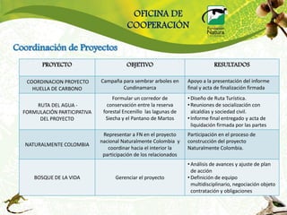 OFICINA DE
                                         COOPERACIÓN

Coordinación de Proyectos
         PROYECTO                        OBJETIVO                              RESULTADOS

   COORDINACION PROYECTO      Campaña para sembrar arboles en      Apoyo a la presentación del informe
     HUELLA DE CARBONO                Cundinamarca                 final y acta de finalización firmada
                                   Formular un corredor de         • Diseño de Ruta Turística.
      RUTA DEL AGUA -            conservación entre la reserva     • Reuniones de socialización con
  FORMULACIÓN PARTICIPATIVA    forestal Encenillo las lagunas de     alcaldías y sociedad civil.
       DEL PROYECTO             Siecha y el Pantano de Martos      • Informe final entregado y acta de
                                                                     liquidación firmada por las partes
                               Representar a FN en el proyecto     Participación en el proceso de
                              nacional Naturalmente Colombia y     construcción del proyecto
  NATURALMENTE COLOMBIA
                                 coordinar hacia el interior la    Naturalmente Colombia.
                               participación de los relacionados
                                                                   • Análisis de avances y ajuste de plan
                                                                     de acción
      BOSQUE DE LA VIDA             Gerenciar el proyecto          • Definición de equipo
                                                                     multidisciplinario, negociación objeto
                                                                     contratación y obligaciones
 