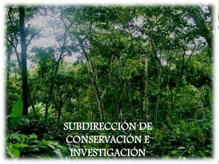 SUBDIRECCIÓN DE
CONSERVACIÓN E
 INVESTIGACIÓN
 