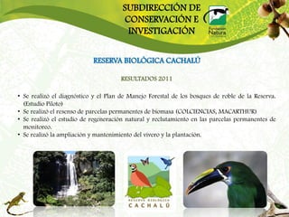 SUBDIRECCIÓN DE
                                      CONSERVACIÓN E
                                       INVESTIGACIÓN


                           RESERVA BIOLÓGICA CACHALÚ

                                      RESULTADOS 2011

• Se realizó el diagnóstico y el Plan de Manejo Forestal de los bosques de roble de la Reserva.
  (Estudio Piloto)
• Se realizó el resenso de parcelas permanentes de biomasa (COLCIENCIAS, MACARTHUR)
• Se realizó el estudio de regeneración natural y reclutamiento en las parcelas permanentes de
  monitoreo.
• Se realizó la ampliación y mantenimiento del vivero y la plantación.
 