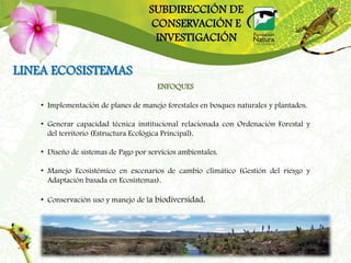 SUBDIRECCIÓN DE
                                    CONSERVACIÓN E
                                     INVESTIGACIÓN

LINEA ECOSISTEMAS
                                       ENFOQUES

   • Implementación de planes de manejo forestales en bosques naturales y plantados.

   • Generar capacidad técnica institucional relacionada con Ordenación Forestal y
     del territorio (Estructura Ecológica Principal).

   • Diseño de sistemas de Pago por servicios ambientales.

   • Manejo Ecosistémico en escenarios de cambio climático (Gestión del riesgo y
     Adaptación basada en Ecosistemas).

   • Conservación uso y manejo de la biodiversidad.
 