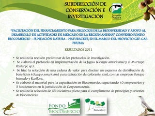 SUBDIRECCIÓN DE
                                       CONSERVACIÓN E
                                        INVESTIGACIÓN

  “FACILITACIÓN DEL FINANCIAMIENTO PARA NEGOCIOS DE LA BIODIVERSIDAD Y APOYO AL
   DESARROLLO DE ACTIVIDADES DE MERCADO EN LA REGIÓN ANDINA” CONVENIO FONDO
BIOCOMERCIO – FUNDACIÓN NATURA - NATURACERT, EN EL MARCO DEL PROYECTO GEF-CAF-
                                     PNUMA
                                       RESULTADOS 2011

  • Se realizó la revisión preliminar de los protocolos de investigación.
  • Se elaboró el protocolo en implementación de la Jagua (Genipa americana) y el Murrapo
    (Euterpe sp.).
  • Se hizo la selección de una cadena de valor para diseñar un esquema de distribución de
    beneficios (Genipa americana) para extracción de colorante azul, con las empresas Bosque
    húmedo y Ecoflora.
  • Se elaboró el material para la capacitación en Biocomercio, capacitando 40 empresarios y
    5 funcionarios en la jurisdicción de Corpoamazonia.
  • Se realizó la selección de 65 iniciativas piloto para el cumplimento de principios y criterios
    de biocomercio.
 