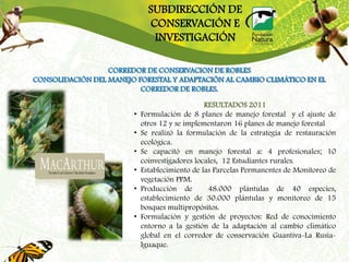 SUBDIRECCIÓN DE
                              CONSERVACIÓN E
                               INVESTIGACIÓN

                  CORREDOR DE CONSERVACION DE ROBLES
CONSOLIDACIÓN DEL MANEJO FORESTAL Y ADAPTACIÓN AL CAMBIO CLIMÁTICO EN EL
                          CORREDOR DE ROBLES.

                                                RESULTADOS 2011
                        •   Formulación de 8 planes de manejo forestal y el ajuste de
                            otros 12 y se implementaron 16 planes de manejo forestal
                        •   Se realizó la formulación de la estrategia de restauración
                            ecológica.
                        •   Se capacitó en manejo forestal a: 4 profesionales; 10
                            coinvestigadores locales, 12 Estudiantes rurales.
                        •   Establecimiento de las Parcelas Permanentes de Monitoreo de
                            vegetación PPM.
                        •   Producción de        48.000 plántulas de 40 especies,
                            establecimiento de 30.000 plántulas y monitoreo de 15
                            bosques multipropósitos.
                        •   Formulación y gestión de proyectos: Red de conocimiento
                            entorno a la gestión de la adaptación al cambio climático
                            global en el corredor de conservación Guantiva-La Rusia-
                            Iguaque.
 