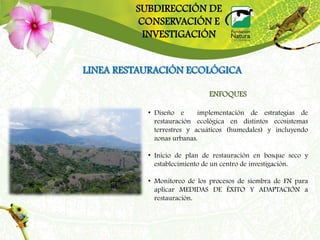 SUBDIRECCIÓN DE
         CONSERVACIÓN E
          INVESTIGACIÓN


LINEA RESTAURACIÓN ECOLÓGICA

                             ENFOQUES

           • Diseño e      implementación de estrategias de
             restauración ecológica en distintos ecosistemas
             terrestres y acuáticos (humedales) y incluyendo
             zonas urbanas.

           • Inicio de plan de restauración en bosque seco y
             establecimiento de un centro de investigación.

           • Monitoreo de los procesos de siembra de FN para
             aplicar MEDIDAS DE ÉXITO Y ADAPTACIÓN a
             restauración.
 