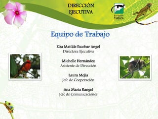 DIRECCIÓN
      EJECUTIVA




Elsa Matilde Escobar Angel
    Directora Ejecutiva

   Michelle Hernández
  Asistente de Dirección

       Laura Mejía
   Jefe de Cooperación

    Ana María Rangel
 Jefe de Comunicaciones
 