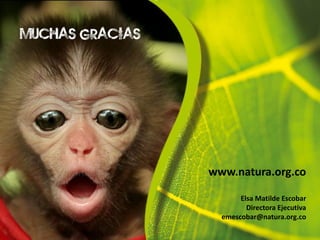 www.natura.org.co

       Elsa Matilde Escobar
         Directora Ejecutiva
  emescobar@natura.org.co
 