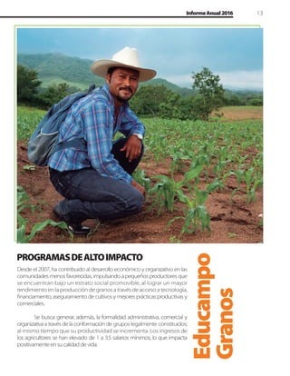 13InformeAnual2016
Desde el 2007, ha contribuido al desarrollo económico y organizativo en las
comunidades menos favorecidas, impulsando a pequeños productores que
se encuentran bajo un estrato social promovible, al lograr un mayor
rendimiento en la producción de granos a través de acceso a tecnología,
ﬁnanciamiento, aseguramiento de cultivos y mejores prácticas productivas y
comerciales.
Se busca generar, además, la formalidad administrativa, comercial y
organizativa a través de la conformación de grupos legalmente constituidos;
al mismo tiempo que su productividad se incrementa. Los ingresos de
los agricultores se han elevado de 1 a 3.5 salarios mínimos, lo que impacta
positivamenteensucalidaddevida.
PROGRAMASDEALTOIMPACTO
 