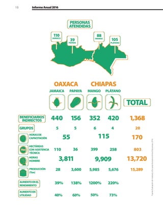 18 InformeAnual2016
Fuente:EvaluacióndemadurezyEncuestaSocioeconómicaEducampo,2016.
 