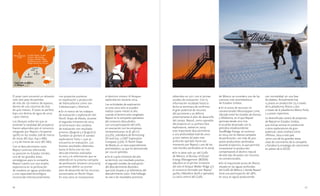 66 67
El pozo León encontró un almacén
neto (net pay) de petróleo
de más de 150 metros de espesor,
dentro de una columna de más
de 400 metros. El pozo se perforó
bajo una lámina de agua de unos
1.900 metros.
Los bloques sobre los que se
extiende la totalidad del prospecto
fueron adquiridos por el consorcio
integrado por Repsol y Ecopetrol
(40%) en las rondas 208 de marzo
de 2009 (KC-642, 643 y 686)
y 213 de marzo de 2010 (KC-687).
Con el descubrimiento León,
Repsol continúa reforzando
su posición en Estados Unidos,
una de las grandes áreas
estratégicas para la compañía.
Repsol cuenta con una amplia
experiencia en la perforación
de sondeos en aguas profundas
y una capacidad tecnológica
reconocida internacionalmente,
con proyectos punteros
en exploración y producción
de hidrocarburos como son
Caleidoscopio y Sherlock.
• En el marco de los trabajos
de evaluación y exploración del
North Slope de Alaska, durante
el segundo trimestre de 2014
se terminaron dos sondeos
de evaluación con resultado
positivo (Qugruk-5 y Qugruk-7).
También se perforó el sondeo
exploratorio Tuttu-1, que se
encuentra en evaluación. Los
buenos resultados obtenidos
hasta la fecha tras los tres
descubrimientos realizados
en 2013 y la información que se
obtendrá en la próxima campaña
de perforación (invierno 2014-2015)
permitirán definir un primer
plan de desarrollo de los recursos
encontrados en North Slope.
En esta zona se incorporaron
al dominio minero 16 bloques
exploratorios durante 2014.
Las actividades de exploración
en esta zona solo se pueden
realizar cuatro meses al año,
cuando el terreno está congelado.
Repsol es la compañía operadora
del consorcio descubridor,
con una participación del 70%,
en asociación con las empresas
norteamericanas 70 & 48 LLC
(22,5%), subsidiaria de Armstrong
Oil and Gas, y GMT Exploration
Company (7,5%). El North Slope
de Alaska es un área especialmente
prometedora, ya que ha demostrado
ser rica en petróleo.
• En el cuarto trimestre del año
se terminó, con resultado positivo,
el segundo sondeo de evaluación
del descubrimiento Buckskin,
que está situado a 50 kilómetros del
descubrimiento León. Este hallazgo
se une a los resultados positivos
obtenidos en 2011 con el primer
sondeo de evaluación. Con la
información recabada hasta la
fecha se terminará de confirmar
el gran potencial de recursos
del yacimiento y se definirá
próximamente el plan de desarrollo
del campo. Repsol, como operador
del proyecto en su primera fase
exploratoria, realizó en 2009
este importante descubrimiento
a una profundidad total de unos
9.000 metros (el pozo más
profundo operado hasta ese
momento por Repsol y uno de los
más hondos perforados en la zona).
• En la lease sale 231 del Golfo
de México, el Bureau of Ocean
Energy Management (BOEM)
adjudicó en el primer trimestre
del año el bloque Walker Ridge 577
al consorcio formado por Repsol
(40%) y Marathon (60% y operador).
La zona central del Golfo
de México se considera una de las
cuencas más prometedoras
de Estados Unidos.
• En el activo de recursos no
convencionales Mississippian Lime,
ubicado entre los estados de Kansas
y Oklahoma, en el que Repsol
participa desde 2012 tras
el acuerdo alcanzado con la
petrolera estadounidense
SandRidge Energy, se continuó
en 2014 con la intensa campaña
de perforación, con más de 400
pozos productores perforados
durante el ejercicio, lo que permitió
incrementar la producción,
compensando el declino natural
de este tipo de pozos con recursos
no convencionales.
• En el importante activo de Shenzi,
situado en las aguas profundas
del Golfo de México y donde Repsol
tiene una participación del 28%,
en 2014 se siguió produciendo
con normalidad, en una fase
de plateau. Actualmente hay
15 pozos en producción (13 a través
de la plataforma Shenzi y dos
a través de la plataforma Marco Polo)
y 4 pozos inyectores.
La diversificada cartera de proyectos
de Repsol en Estados Unidos,
que incluye activos en producción
y otros exploratorios de gran
potencial, tanto onshore como
offshore, sitúa a este país
como una de las grandes áreas
clave de crecimiento de la compañía
y fortalece la estrategia de crecimiento
en países de la OCDE.
 