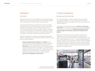 ABENGOA Informe Anual 2014 | 06.1 La I+D en Abengoa pág. 25
Hidrógeno
Electrocatal
Multitud de procesos que ocurren diariamente en la naturaleza implican
reacciones químicas en las que se produce un intercambio de electrones
entre varias especies; son las denominadas “reacciones redox”.
Este intercambio de electrones se puede llevar a cabo de una manera
controlada usando una celda electroquímica que opere a intensidades
y voltajes bien establecidos. Cuando el electrodo, aparte de ser un
mero transportador de electrones, tiene actividad catalítica, se habla de
una reacción electrocatalítica. La electrocatálisis ha adquirido una gran
importancia en el desarrollo de campos como la electrosíntesis orgánica,
los sensores, las células de combustible y las baterías, entre otros.
Abengoa ha desarrollado y patentado una tecnología electrocatalítica
propia en colaboración con la Universidad de Castilla- La Mancha a fin de
lograr los siguientes objetivos:
›› Producir simultáneamente hidrógeno y “sintegas” con la
adecuada relación H2
/CO para favorecer y optimizar la aplicación
final de esta corriente (combustibles, productos químicos, etc.).
›› Valorizar CO2
, lo que permitirá mejorar la economía de las plantas
que generan este gas de efecto invernadero y así transformarlo en
productos de valor (metano, metanol, etc.) usando como fuente de
hidrógeno los iones H+ generados en la electrolisis de agua.
›› Producir la electroxidación de moléculas orgánicas para la
generación de hidrógeno de gran pureza.
Cultivos energéticos
Biomasa para biocombustibles
Los cultivos energéticos se utilizan para generar biomasa destinada
a la conversión energética. Con ello se persigue lograr una amplia
adaptabilidad productiva de las plantas a bajo coste, tanto de desarrollo
como de recolección.
La investigación de Abengoa se centra en maximizar la producción
de biomasa en el menor tiempo posible, para lo que se han establecido
varias líneas de investigación que, mediante técnicas agronómicas
y biotecnológicas, incrementan el potencial energético de las
plantas.
Determinar las condiciones en las que se obtiene la mejor tasa de
crecimiento del árbol —parámetro biológico que cambia según la
especie, edad y condiciones del cultivo (suelo, densidad de cultivo, horas
de luz y agua disponible entre otras)— y la máxima densidad posible de
plantación, y definir en qué condiciones se obtiene la mayor rentabilidad
energética (tasa de retorno de energía por unidad de energía invertida)
son objetivos primordiales. Además, se estudian las mejores condiciones
de cultivo para potenciar el crecimiento de los árboles evitando efectos
negativos en la calidad del suelo.
Nuevos laboratorios de investigación
en Campus Palmas Altas, Sevilla (España)
 