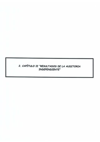 Informe auditoria externa abril mayo 2017