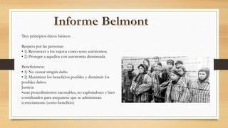 Informe Belmont.pptx