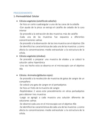 PROCEDEIMIENTO 
1.-Permeabilidad Celular 
 Células vegetales (catafilo de cebolla): 
-Se hizo un corte cuadrangular a una de las caras de la cebolla 
-Con ayuda de la pinza se extrajo el catafilo de cebolla de la cara 
interior 
-Se procedió a la extracción de dos muestras más de catafilo 
-Cada una de las muestras fue expuesta a diferentes 
concentraciones salinas 
-Se procedió a la observación de las tres muestra con el objetivo 10x 
-Se identificó las características de cada una de las muestras y como 
afecta la concentraciones medio extracelular a la estructura de la 
célula. 
 Células vegetales (elodea): 
-Se procedió a preparar una muestra de elodea y se colocó la 
solución salina hipertónica 
-Una vez hecho esto se observa en el microscopio con el objetivo 
40x 
 Células Animales (glóbulos rojos): 
-Se procedió a la recolección de muestras de gotas de sangre de un 
compañero 
-Se colocó una gota de sangre en el portaobjetos 
-Se hizo un frotis de la muestra de sangre 
-Repitiéndose 2 veces este procedimiento en otros portaobjetos 
para obtener tres muestras 
-Luego se agregó a cada muestra una solución diferente de 
soluciones salinas 
-Se observó cada uno en el microscopio con el objetivo 40x 
-Se identificó las características de cada una de las muestras y como 
afecta la concentraciones medio extracelular a la estructura de la 
célula. 
 
