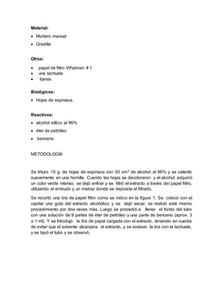Material:
 Mortero manual
 Gradilla
Otros:
 papel de filtro Whatman # 1
 una tachuela
 tijeras
Biológicos:
 Hojas de espinaca.
Reactivos:
 alcohol etílico al 96%
 éter de petróleo
 benceno
METODOLOGÍA
Se trituro 10 g. de hojas de espinaca con 50 cm3 de alcohol al 96% y se calentó
suavemente en una hornilla. Cuando las hojas se decoloraron y el alcohol adquirió
un color verde intenso, se dejó enfriar y se filtró el extracto a través del papel filtro,
utilizando el embudo y un matraz donde se deposite el filtrado.
Se recortó una tira de papel filtro como se indico en la figura 1. Se colocó con el
capilar una gota del extracto alcohólico y se dejó secar, se realizó este mismo
procedimiento por dos veces más. Luego se procedió a llenar el fondo del tubo
con una solución de 9 partes de éter de petróleo y una parte de benceno (aprox. 3
a 1 ml). Y se Introdujo la tira de papel cargada con el extracto, teniendo en cuenta
de evitar que el solvente alcanzara el extracto, y se sostuvo la tira con la tachuela,
y se tapó el tubo y se observó.
 