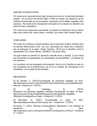 ANÁLISIS DE RESULTADOS
Por medio de la macerada de las hojas de espica se inicia un rompimiento del tejido
vegetal, con la adición del alcohol etílico al 96% se realiza una extracción de los
distintos componentes que se encuentran contenidos en las células vegetales de la
espinaca. Por medio de la impregnación del papel con la solución se adsorbió una
parte de estos compuestos.
Por medio de la evaporación ascendente se muestra la distribución de los colores
tales como verde oliva, verde intenso, amarrillo y por ultimo color naranja intenso.
CONCLUSIÓN
Por medio de la práctica se logró identificar que la espinaca contiene distintos tipos
de clorofila denominadas como (a) y (b), observadas por medio de la coloración
que se distinguió en el papel. Según (Aguilera., 2012) que la clorofila-a tiene la
característica del (verde intenso), clorofila-b del (verde oliva).
De igual manera se observó la coloración amarrillo tenue y naranja. Lo que indica
que el amarrillo es representado y/o característico de las xantofilas y el naranja por
los carotenos.
Los carotenos son los encargados del transporte de la luz a la clorofila el cual son
los encargados de la transformación de la luz en energía y/o encargados de la
fotosíntesis con la ayuda de las xantofilas.
BIBLIOGRAFÍA
[1] [3] Aguilera, F., (2012).Cromatografía de pigmentos vegetales. En línea.
http://www.apccc.es/arch_apccc/fichas2012/lasvinas/lasvinas_cromatografiapvege
tales.pdf. Visitada el 4 / 11/2016.
[2] [6] Velastegui, R., (2014).
Separación de pigmentos vegetales mediante cromatografía en papel. En línea.
https://es.scribd.com/doc/45304864/Separacion-de-Pigmentos-Vegetales-
Mediante-Cromatografia-en-Papel. Visitada el 4 / 11/2016.
[4] Bermúdez, G., (2001). Cromatografía en papel. En línea.
http://www.elergonomista.com/tecnicas/cp.htm. Visitada el 4 / 11/2016.
[5] Quiroz, T., (2007). Técnicas Cromatográficos, Introducción a los métodos de
separación. En línea.
http://depa.fquim.unam.mx/amyd/archivero/M.Cromatogrficos_6700.pdf. Visitada el
4 / 11/2016.
 