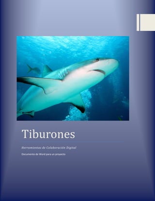 Tiburones
Herramientas de Colaboración Digital

Documento de Word para un proyecto




                                     Página 1 de 26
 