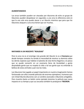 Características de los tiburones


ALIMENTANDOCE

Las orcas también pueden ser atacadas por tiburones de echo un grupo de
tiburones pueden despedazar en segundos a una orca la diferencia está en
que la una sola orca puede atacar a un tiburón mientras que para que los
tiburones ataquen a una orca tienen que ser muchos.




MATANDO A UN INOCENTE "REALIDAD"

Pero la orca no es el enemigo más grande del tiburón lo es el Humano que
desde tiempos remotos ha tenido la necesidad de mostrar su dominio sobre
las demás especies que habitan el planeta de esta forma llegamos a la pesca
que se puede convertir en un escenario lleno de brutalidad y gente
despiadada gente que no respeta la vida o tal vez gente que no entiende la
belleza de estos animales y por eso los mata.

Los tiburones han jugado un papel importante en nuestra imaginación hemos
fantaseado con ellos creando películas de enormes ejemplares, humanos que
son mitad tiburón,tiburones con un cerebro avanzado o tiburones amigables.
Para muestra basta un botón como ejemplo tenemos la película que causo
impacto en su tiempo y que sus secuelas también lo produjeron TIBURON.
 