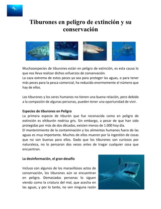 Tiburones en peligro de extinción y su
               conservación




Muchasespecies de tiburones están en peligro de extinción, es esta causa lo
que nos lleva realizar dichos esfuerzos de conservación.
La caza extrema de estos peces ya sea para proteger las aguas, o para tener
más peces para la pesca comercial, ha reducido enormemente el número que
hay de ellos.

Los tiburones y los seres humanos no tienen una buena relación, pero debido
a la compasión de algunas personas, pueden tener una oportunidad de vivir.

Especies de tiburones en Peligro
La primera especie de tiburón que fue reconocida como en peligro de
extinción es eltiburón nodriza gris. Sin embargo, a pesar de que han sido
protegidas por más de dos décadas, existen menos de 1.000 hoy día.
El mantenimiento de la contaminación y los alimentos humanos fuera de las
aguas es muy importante. Muchos de ellos mueren por la ingestión de cosas
que no son buenas para ellos. Dado que los tiburones son curiosos por
naturaleza, no lo pensaran dos veces antes de tragar cualquier cosa que
encuentran.

La desinformación, el gran desafío

Incluso con algunos de los maravillosos actos de
conservación, los tiburones aún se encuentran
en peligro. Demasiadas personas lo siguen
viendo como la criatura del mal, que acecha en
las aguas, y por lo tanto, no ven ninguna razón
 