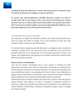 cantidad de crías que sobreviven, mucho más hay que hacer si queremos que
el número de tiburones en peligro no siga aumentando.

Se estima que aproximadamente 270.000 tiburones mueren en todo el
mundo cada día sin una buena razón, esto resulta alarmante para muchas
personas que no se habían dado cuenta del problema tan grande que existe.
Abrir los ojos de la opinión pública, que vena la gravedad del problema, es un
gran paso adelante en los esfuerzos de conservación



Caza de tiburones y pesca comercial
Los tiburones en todos sus tamaños y formas son criaturas fascinantes que
viven en aguas de todo el mundo. Por lo que muchos de ellos han sido
cazados en gran número en los últimos años.

En muchas áreas es legal la pesca de tiburones, y en algunos otros, la práctica
continúa, a pesar de ser en contra de la ley. La emoción de la caza de los
grandes tiburones es el motivo por el cual muchas personas lo hacen. De
hecho, hay expediciones con guías que son capaces de llevarlos directo hacia
ellos por el precio correcto.

Pesca o temor a los tiburones
Una de las razones principales por la que pescan al tiburón ha sido
destruirlos. No existe amor entre los tiburones y el hombre en muchas áreas.
Si bien la pesca comercial es una gran industria, se cree que los tiburones son
una entidad que privan a los pescadores de hacer dinero como deberían, la
lógica es que si destruyen a los tiburones, que consumen los peces, entonces
habrá más peces en las redes de los pescadores para el comercio.
Muchas personas les tienen miedo a los tiburones y tienen la idea de que las
aguas estarían más seguras sin ellos. Y, aunque la evidencia muestra lo
contrario, todavía hay muchos que creen que los tiburones son máquinas de
matar hombres. Ciertamente, no quieren compartir el agua, nadar o navegar
con estos animales.
 