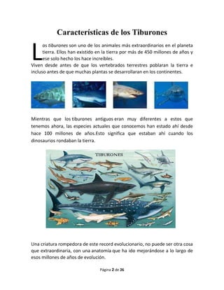 Características de los Tiburones


L     os tiburones son uno de los animales más extraordinarios en el planeta
      tierra. Ellos han existido en la tierra por más de 450 millones de años y
      ese solo hecho los hace increíbles.
Viven desde antes de que los vertebrados terrestres poblaran la tierra e
incluso antes de que muchas plantas se desarrollaran en los continentes.




Mientras que los tiburones antiguos eran muy diferentes a estos que
tenemos ahora, las especies actuales que conocemos han estado ahí desde
hace 100 millones de años.Esto significa que estaban ahí cuando los
dinosaurios rondaban la tierra.




Una criatura rompedora de este record evolucionario, no puede ser otra cosa
que extraordinaria, con una anatomía que ha ido mejorándose a lo largo de
esos millones de años de evolución.

                                 Página 2 de 26
 