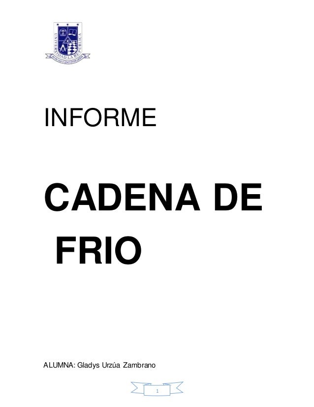Informe Cadena De Frio Completo