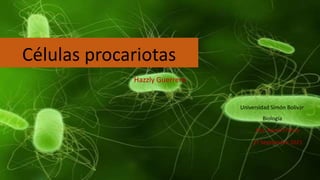 Células procariotas
Hazzly Guerrero
Universidad Simón Bolívar
Biología
Dra. Karen Franco
27 Septiembre 2021
 