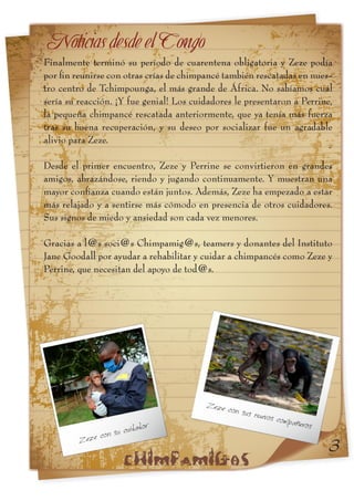 Informe chimpamig@s Anzac