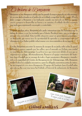 Informe chimpamig@s Anzac