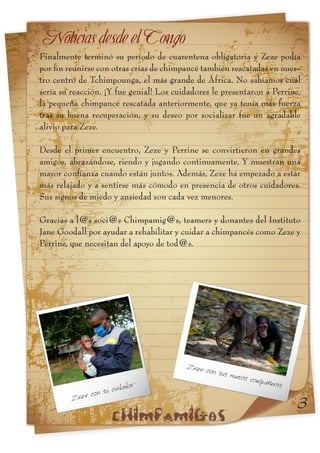 Informe chimpamig@s Hiila