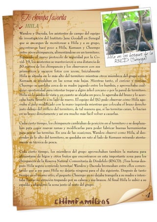 Informe chimpamig@s Hiila