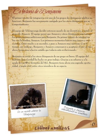 Informe chimpamig@s Hiila