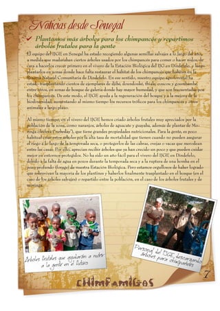 Informe chimpamig@s Lemba