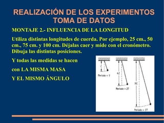 REALIZACIÓN DE LOS EXPERIMENTOS 
TOMA DE DATOS 
MONTAJE 2.- INFLUENCIA DE LA LONGITUD 
Utiliza distintas longitudes de cuerda. Por ejemplo, 25 cm., 50 
cm., 75 cm. y 100 cm. Déjalas caer y mide con el cronómetro. 
Dibuja las distintas posiciones. 
Y todas las medidas se hacen 
con LA MISMA MASA 
Y EL MISMO ÁNGULO 
 
