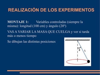 REALIZACIÓN DE LOS EXPERIMENTOS 
MONTAJE 1: Variables controladas (siempre la 
misma): longitud (100 cm) y ángulo (20º) 
VAS A VARIAR LA MASA QUE CUELGA y ver si tarda 
más o menos tiempo 
Se dibujan las distintas posiciones 
 