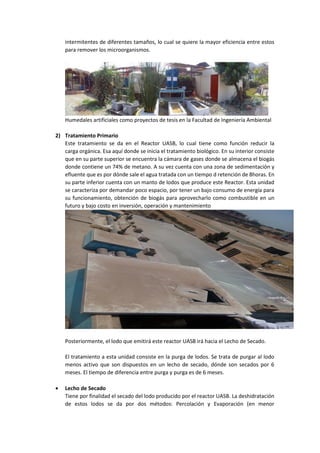 intermitentes de diferentes tamaños, lo cual se quiere la mayor eficiencia entre estos
para remover los microorganismos.
Humedales artificiales como proyectos de tesis en la Facultad de Ingeniería Ambiental
2) Tratamiento Primario
Este tratamiento se da en el Reactor UASB, lo cual tiene como función reducir la
carga orgánica. Esa aquí donde se inicia el tratamiento biológico. En su interior consiste
que en su parte superior se encuentra la cámara de gases donde se almacena el biogás
donde contiene un 74% de metano. A su vez cuenta con una zona de sedimentación y
efluente que es por dónde sale el agua tratada con un tiempo d retención de 8horas. En
su parte inferior cuenta con un manto de lodos que produce este Reactor. Esta unidad
se caracteriza por demandar poco espacio, por tener un bajo consumo de energía para
su funcionamiento, obtención de biogás para aprovecharlo como combustible en un
futuro y bajo costo en inversión, operación y mantenimiento
Posteriormente, el lodo que emitirá este reactor UASB irá hacia el Lecho de Secado.
El tratamiento a esta unidad consiste en la purga de lodos. Se trata de purgar al lodo
menos activo que son dispuestos en un lecho de secado, dónde son secados por 6
meses. El tiempo de diferencia entre purga y purga es de 6 meses.
 Lecho de Secado
Tiene por finalidad el secado del lodo producido por el reactor UASB. La deshidratación
de estos lodos se da por dos métodos: Percolación y Evaporación (en menor
 