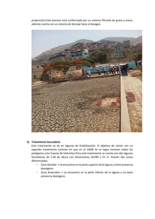proporción).Este proceso está conformado por un sistema filtrante de grava y arena,
además cuenta con un sistema de drenaje hacia al desagüe.
3) Tratamiento Secundario
Este tratamiento se da en lagunas de Estabilización. El objetivo de contar con un
segundo tratamiento consiste en que en el UASB no se logra remover todos los
patógenos y los huevos de helmintos.Para este tratamiento se cuenta con dos lagunas
facultativas de 1.50 de altura con dimensiones de100 x 51 m. Poseen dos zonas
diferenciadas:
 Zona Aerobia -> se encuentra en la parte superior de la laguna y tiene presencia
deoxígeno.
 Zona Anaerobia -> se encuentra en la parte inferior de la laguna y no tiene
presencia deoxígeno.
 
